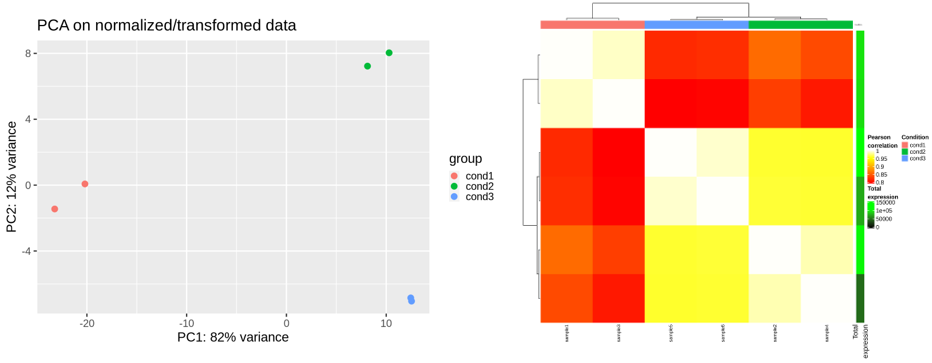 report · Wiki · bird_pipeline_registry / SRP-pipeline · GitLab