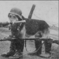 Photo du profil de l'utilisateur