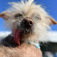 Photo du profil de l'utilisateur