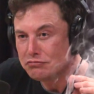 Photo du profil de l'utilisateur