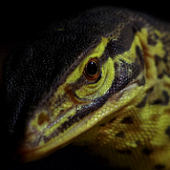 Photo du profil de l'utilisateur