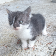 Photo du profil de l'utilisateur