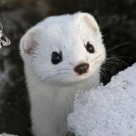 Photo du profil de l'utilisateur